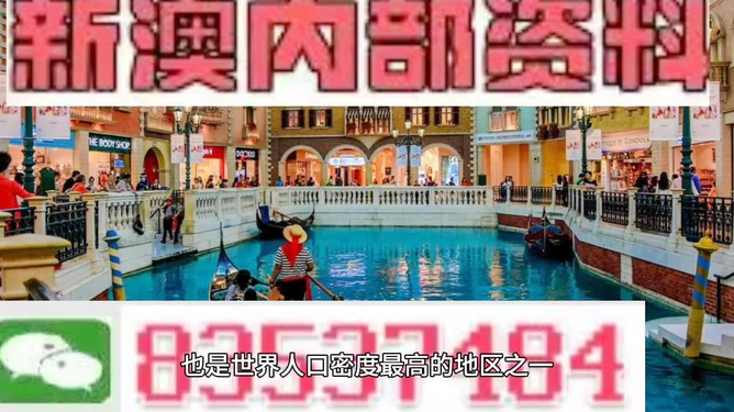 澳門王中王正版游戲，探索未來的新篇章（2025年展望），澳門王中王正版游戲，探索未來新篇章，展望2025年發(fā)展