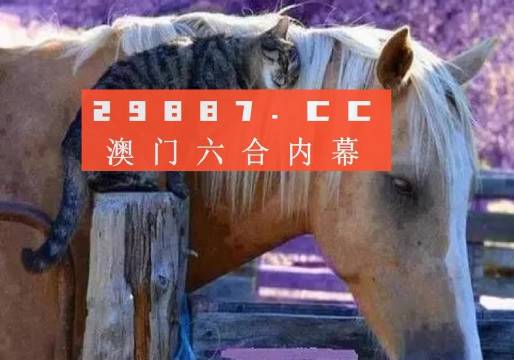 澳門一肖一碼一待一中四不像，探索與解析，澳門一肖一碼一待一中四不像，深度解析與探索