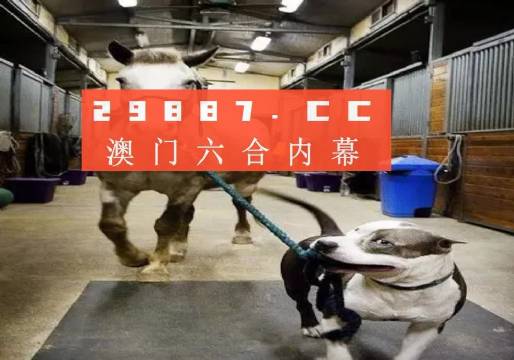 澳門一肖一碼一必中一肖，同舟前進(jìn)的奧秘與策略，澳門一肖一碼必中策略與前進(jìn)奧秘，同舟共濟(jì)的揭秘與策略