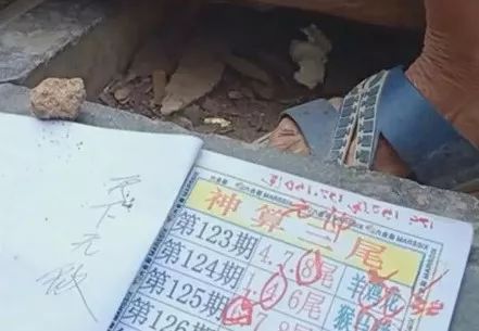 香港中特期期準(zhǔn)資料，深度解析與探索，香港中特期期準(zhǔn)資料深度解析與探索報告