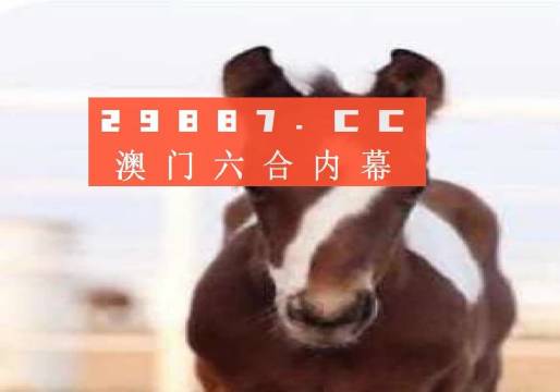 澳門一肖一碼狀元紅，揭秘彩票背后的秘密與策略，澳門彩票揭秘，狀元紅背后的秘密與策略解析