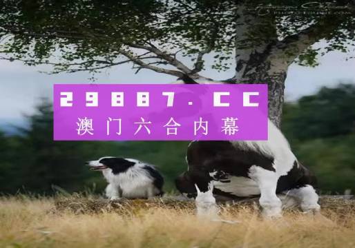 澳門天天空彩官網(wǎng)資料，探索彩票世界的門戶，澳門天天空彩官網(wǎng)資料，彩票世界探索門戶