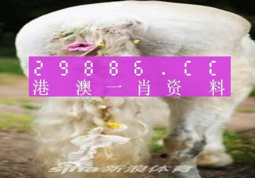 澳門羊了個(gè)羊與各大圖庫(kù)的資料揭秘，2023年澳門今晚必中一肖一碼永久免費(fèi)資料庫(kù)大解密，澳門羊了個(gè)羊與資料庫(kù)揭秘，2023年必中一肖一碼永久免費(fèi)資料大解密