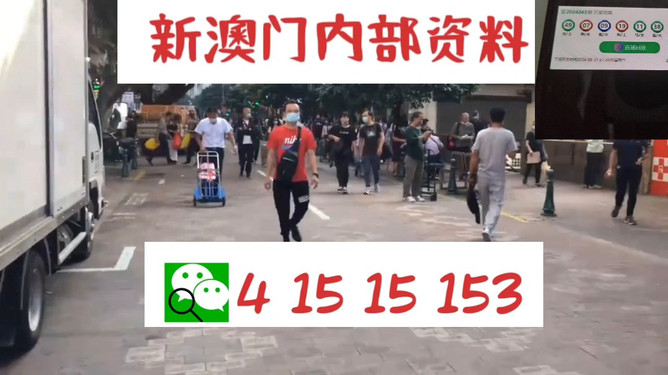 澳門管家婆，揭秘一種獨(dú)特的文化現(xiàn)象與娛樂體驗(yàn)，澳門管家婆，文化現(xiàn)象與娛樂體驗(yàn)的揭秘