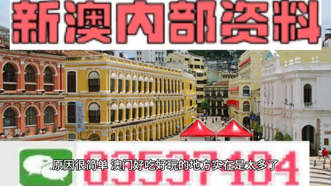 澳門精準(zhǔn)資料大全免費(fèi)，探索與解析，澳門精準(zhǔn)資料大全免費(fèi)解析探索