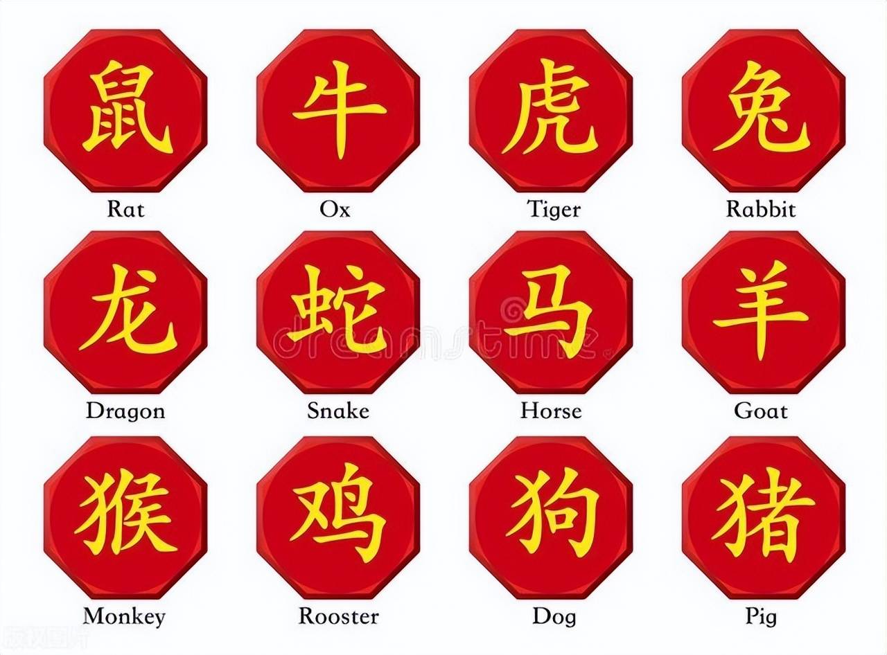 新澳特碼，羊?；⒏鲾?shù)10——揭秘背后的數(shù)字奧秘，揭秘新澳特碼數(shù)字奧秘，羊?；⒏鲾?shù)背后的秘密