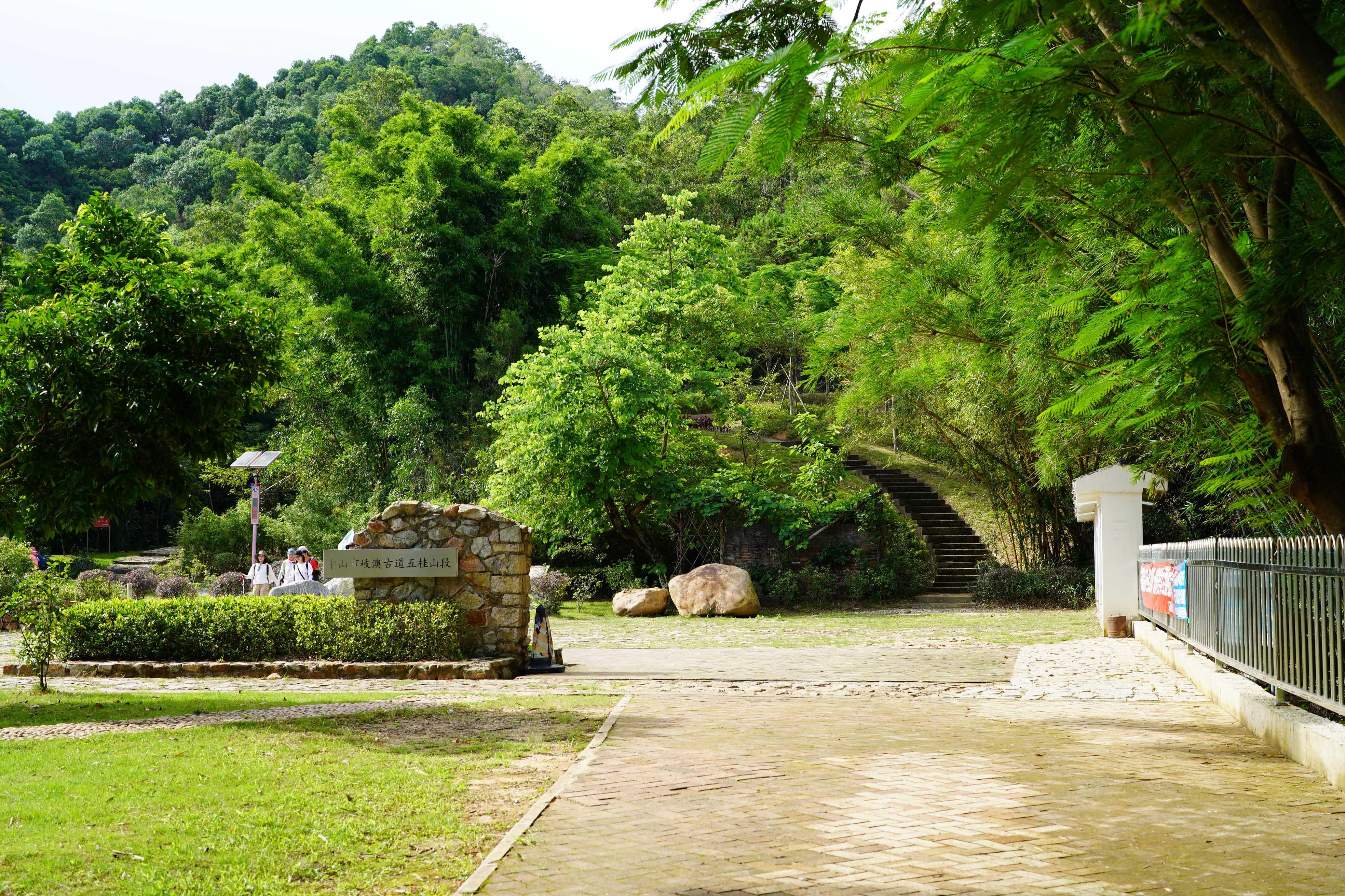 新澳門(mén)彩生肖走勢(shì)圖，探索與解讀彩票背后的秘密，探索解讀新澳門(mén)彩生肖走勢(shì)圖，彩票背后的秘密揭秘