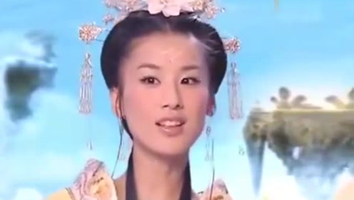曾道道人資料免費大全，深度探索與解析，曾道道人資料深度解析與免費大全探索