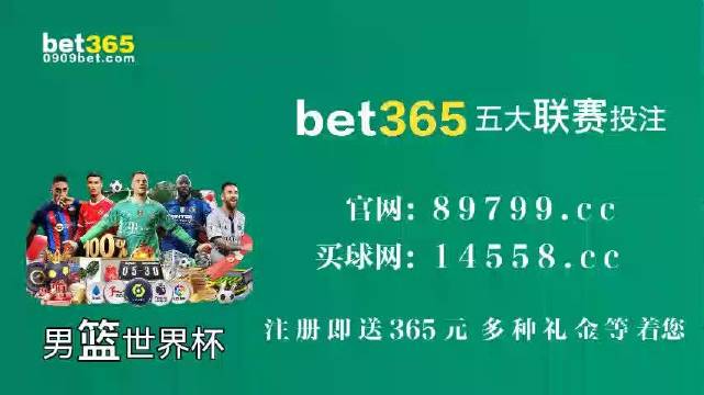 王中王中特馬王中王精準(zhǔn)資料解析與SEO優(yōu)化策略探討，王中王中特馬精準(zhǔn)資料解析與SEO策略探討