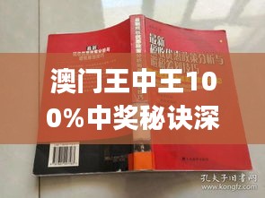 新澳門王中王期期中，探索與解析，新澳門王中王期期中，深度探索與解析