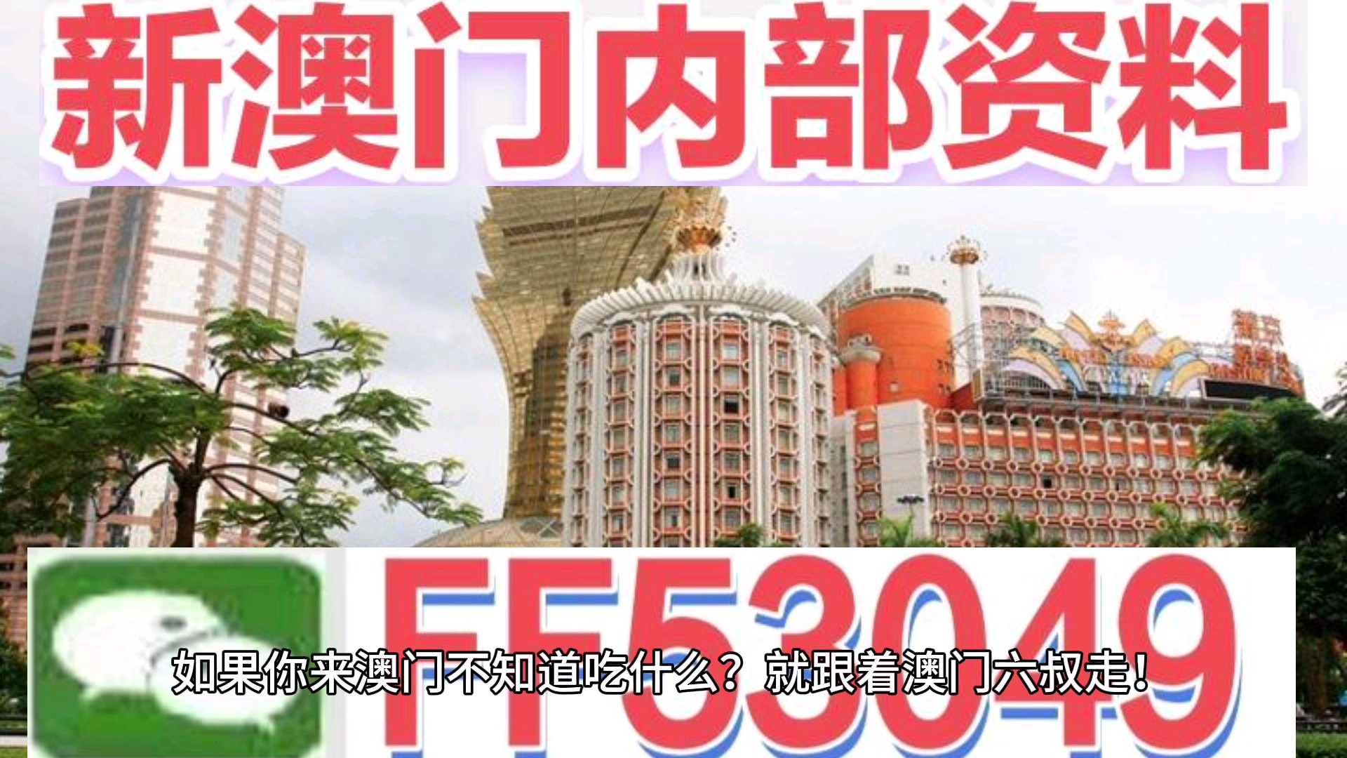 澳門今晚特馬生肖預測，探尋未來的幸運符號（2025年），澳門生肖預測揭秘，探尋未來幸運符號（特馬生肖預測 2025年展望）