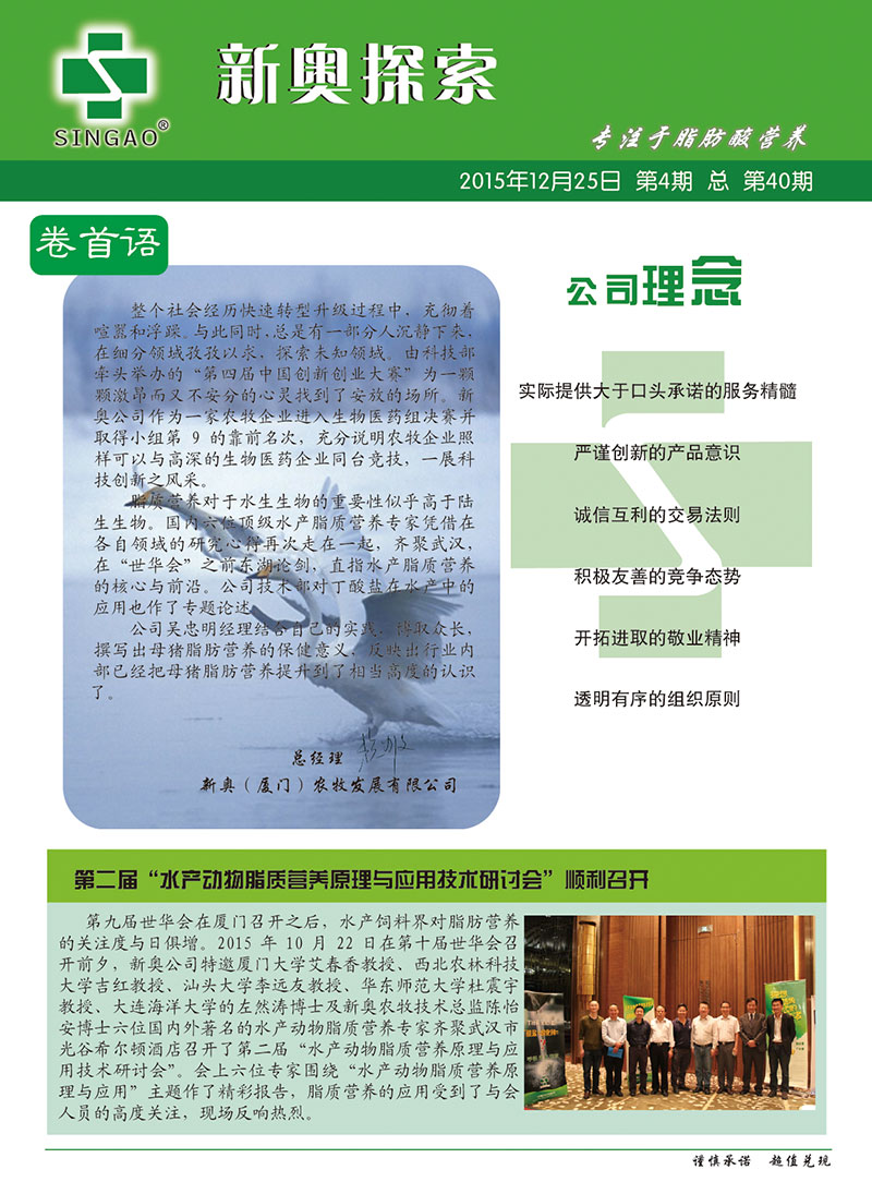 2025新澳正版資料查詢指南，2025新澳正版資料查詢手冊
