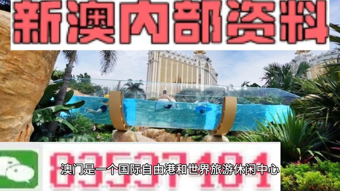 新澳的資料去哪里找——全面指南，新澳資料全攻略，尋找資料的途徑與指南