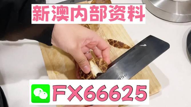 澳門九點(diǎn)半9點(diǎn)半網(wǎng)站——探索其魅力與優(yōu)勢，澳門九點(diǎn)半網(wǎng)站，魅力與優(yōu)勢探索