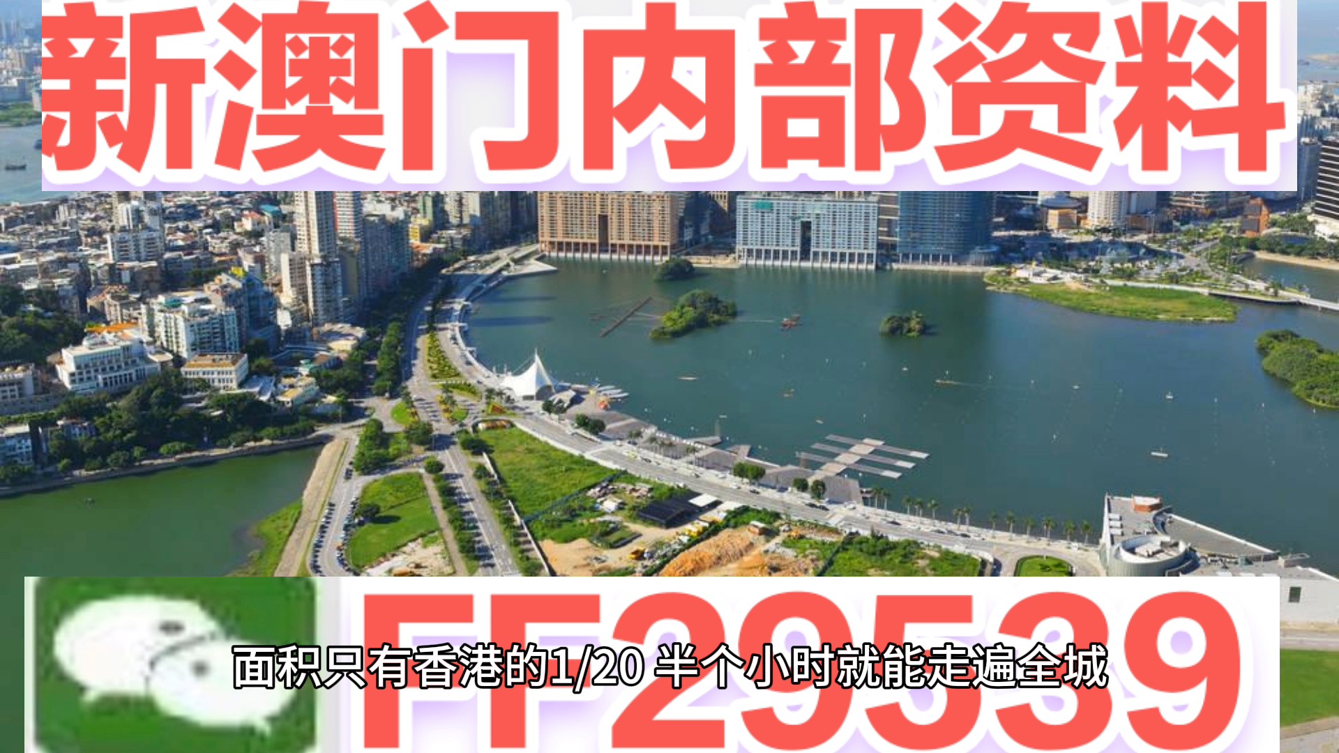 澳門特碼，探索其背后的秘密與魅力，澳門特碼背后的秘密與魅力探索