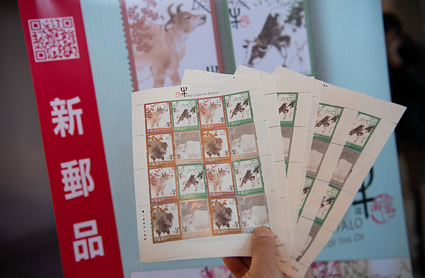 澳門值日生肖600圖庫(kù)與八百圖庫(kù)開獎(jiǎng)，探索生肖圖庫(kù)的魅力與奧秘，澳門生肖圖庫(kù)開獎(jiǎng)揭秘，探索值日生肖600圖庫(kù)與八百圖庫(kù)的魅力與奧秘