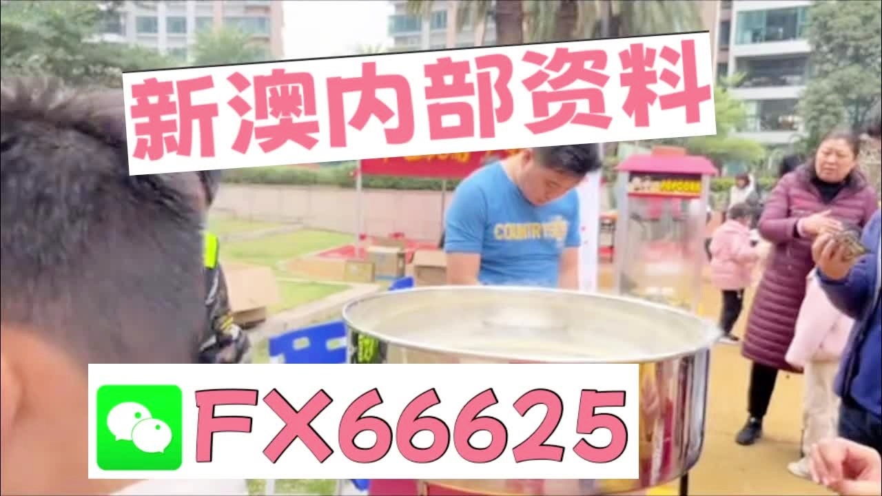 新澳2025芳草地資料大全，深度解析與前瞻性展望，新澳2025芳草地，資料深度解析與前瞻性展望