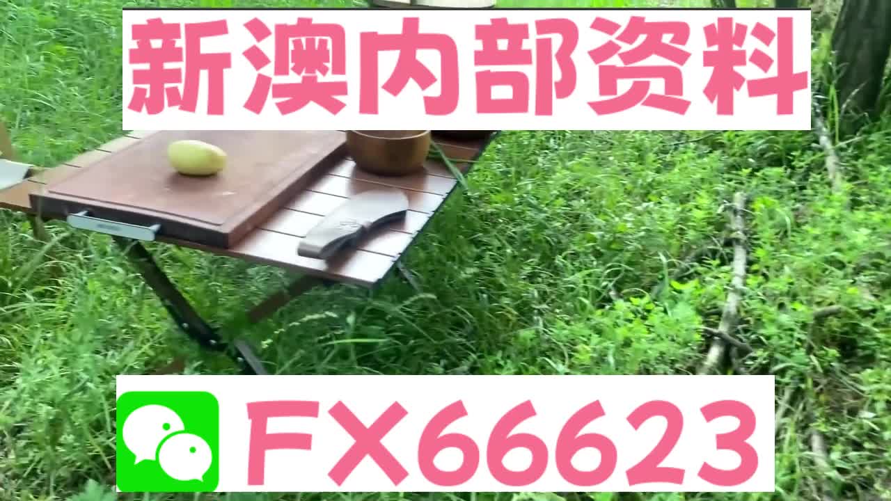 新奧特碼走勢圖解析與預測，新奧特碼走勢圖解析與預測，未來趨勢探討