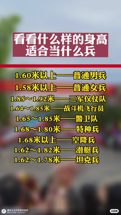 儀仗兵身高標(biāo)準(zhǔn)，探究與解析，儀仗兵身高標(biāo)準(zhǔn)，探究與詳解