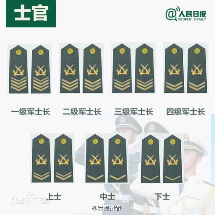 全球各國軍士長軍銜對(duì)照表及其重要性，全球各國軍士長軍銜對(duì)照表，揭示其重要性