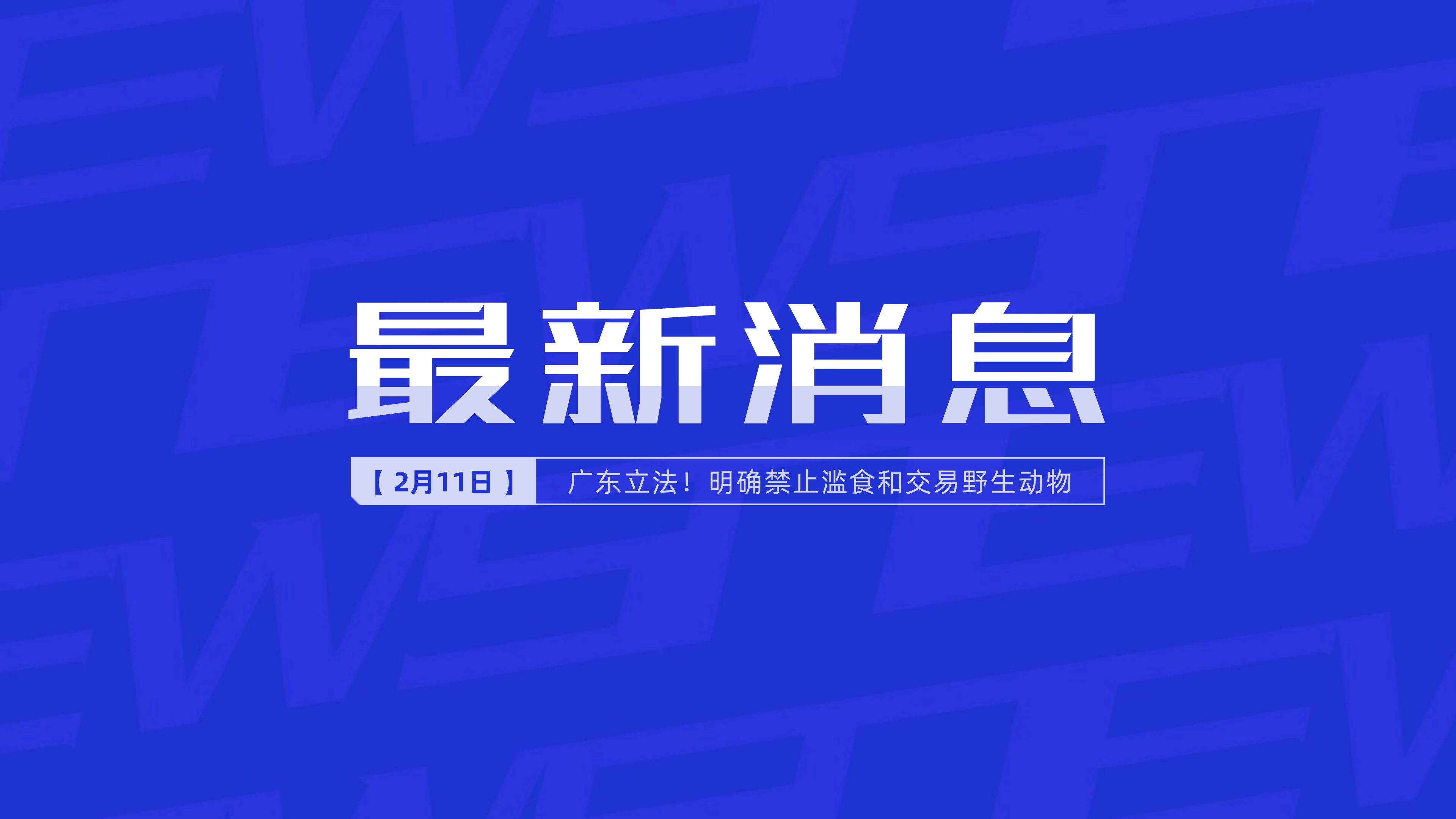 新聞最新新聞，掌握時事熱點(diǎn)，洞悉世界動態(tài)，時事熱點(diǎn)速遞，掌握全球最新動態(tài)新聞