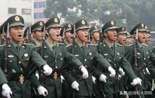 概覽