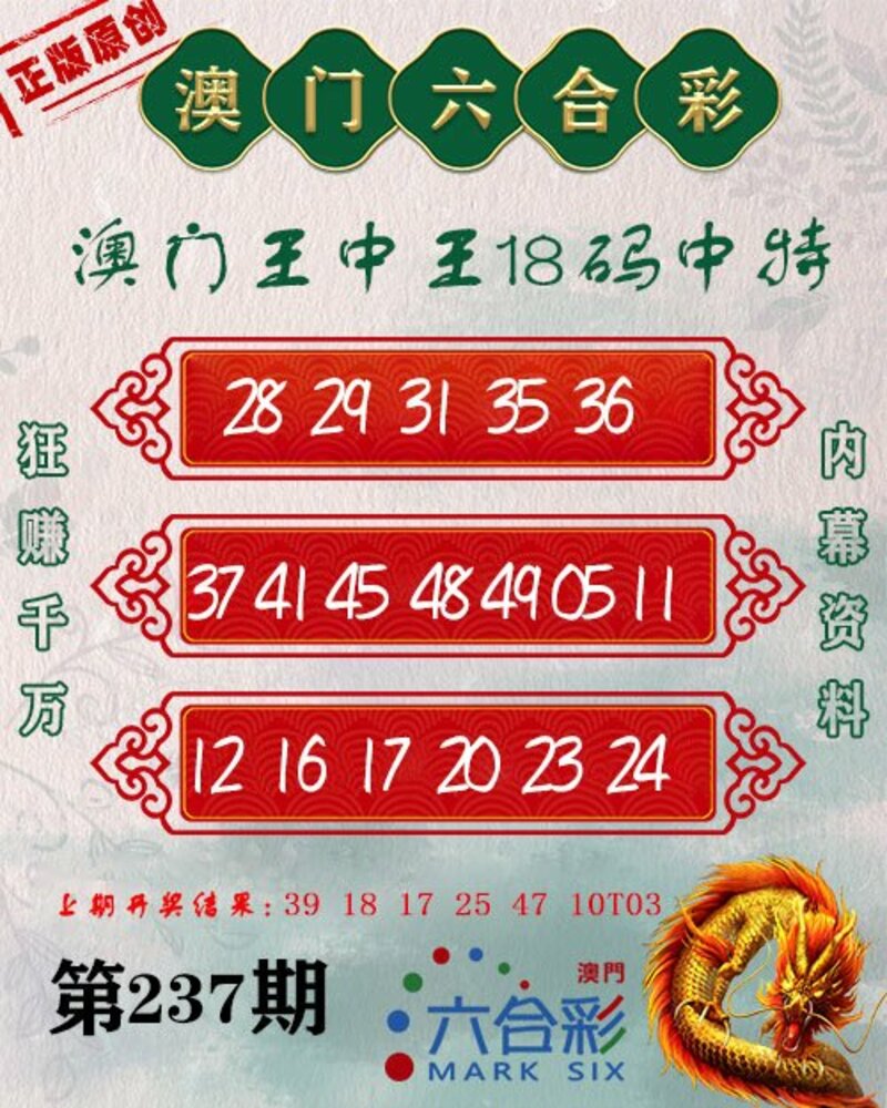 新澳門王中王期期中，探索與解析，新澳門王中王期期中，深度探索與解析