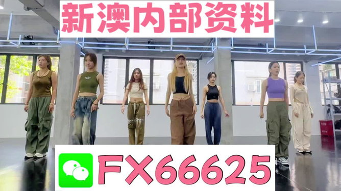 新澳持碼會(huì)資料詳解，新澳持碼會(huì)資料全面解析