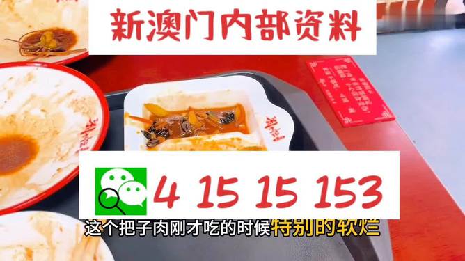 澳門王中王六碼新澳門，探索與解析，澳門王中王六碼新澳門，深度探索與解析