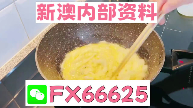 澳門九點半9點半網(wǎng)站——探索與體驗，澳門九點半網(wǎng)站，探索與體驗之旅