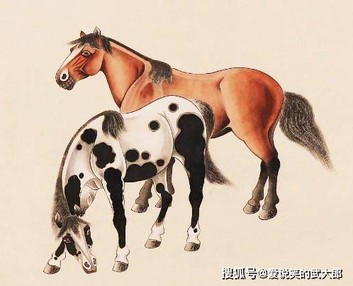 香港四不像一肖生肖圖，揭秘背后的神秘文化，香港四不像一肖生肖圖，神秘文化背后的揭秘