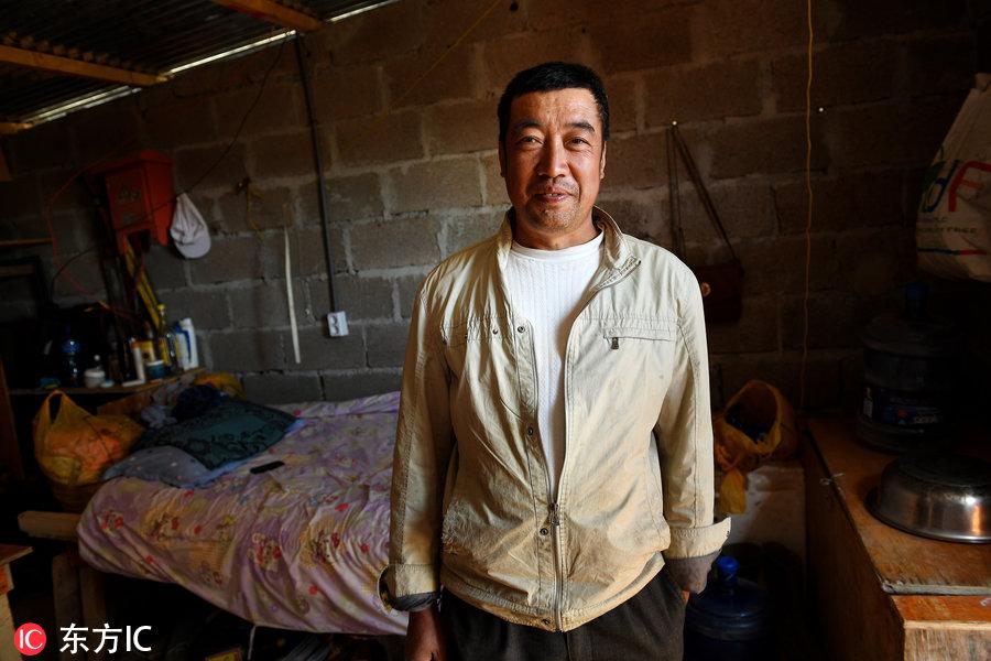 博科圣地組織，深度解析與理解，博科圣地組織深度解析與探究