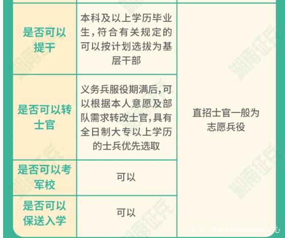 士官直招與義務(wù)兵的區(qū)別，深入了解軍隊(duì)招募制度，直招士官與義務(wù)兵招募制度深度解析，軍隊(duì)招募制度詳解