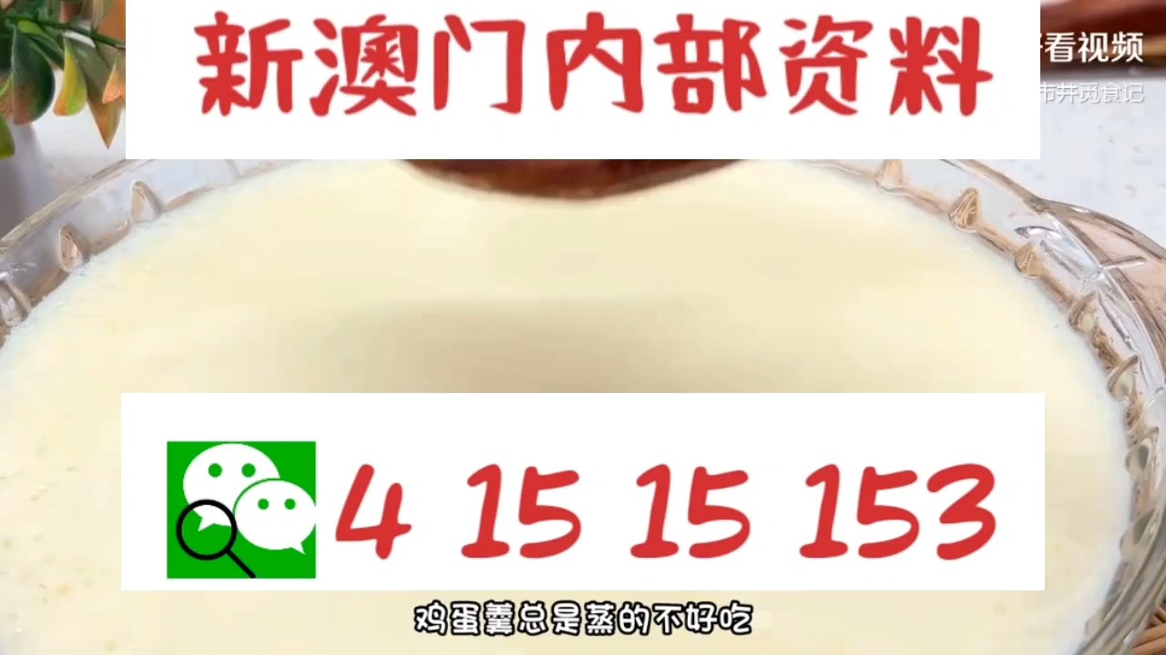新澳門(mén)中特網(wǎng)中特馬，探索與解析，澳門(mén)中特馬探索與解析指南