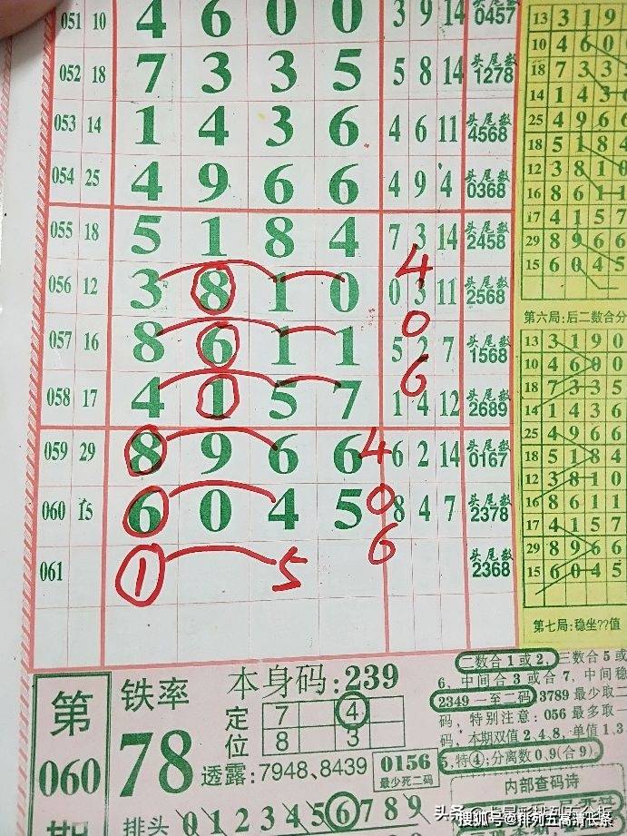 平特肖推算法，探索搜索引擎優(yōu)化的新境界，平特肖推算法，開啟搜索引擎優(yōu)化新境界的探索之旅