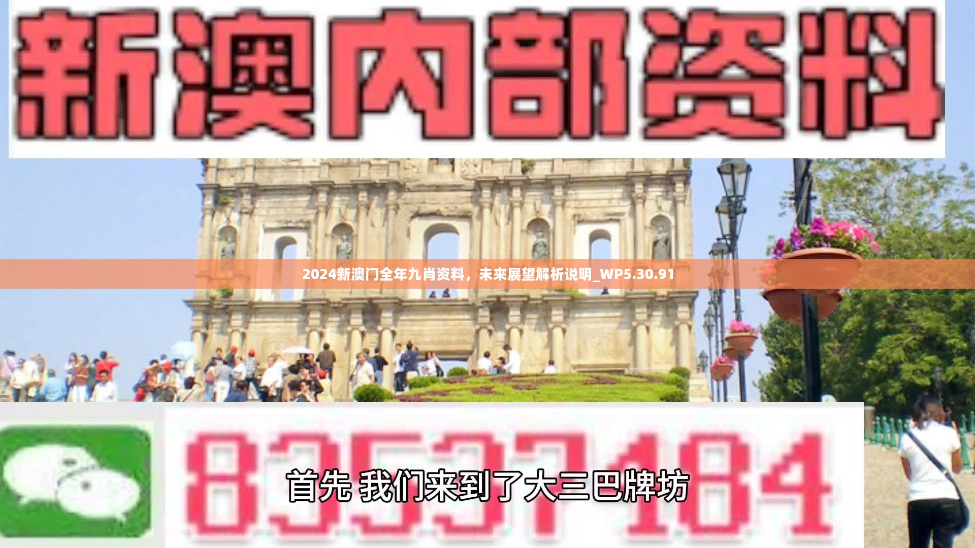 新澳門精準(zhǔn)九肖，揭秘預(yù)測技巧與策略，揭秘新澳門精準(zhǔn)九肖預(yù)測技巧與策略