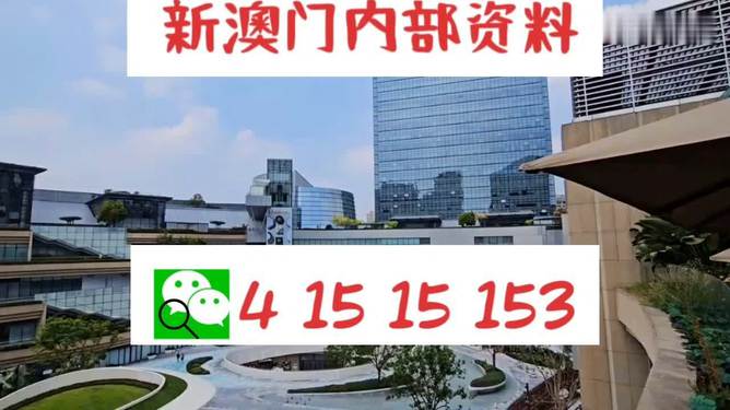 新澳門單雙，探索數(shù)字世界的奧秘與魅力，澳門數(shù)字世界的奧秘與魅力探索，單雙數(shù)的奇幻之旅