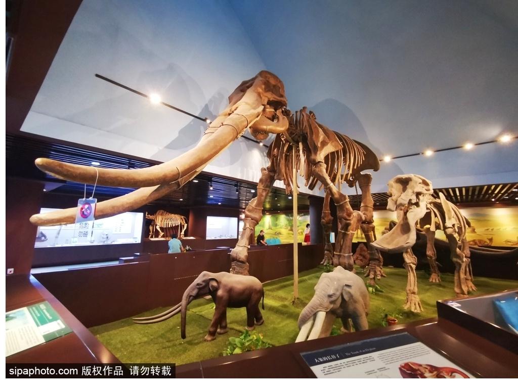北京必去的十大博物館——探尋千年文化的精華之旅，北京必游十大博物館，千年文化精華之旅探尋記