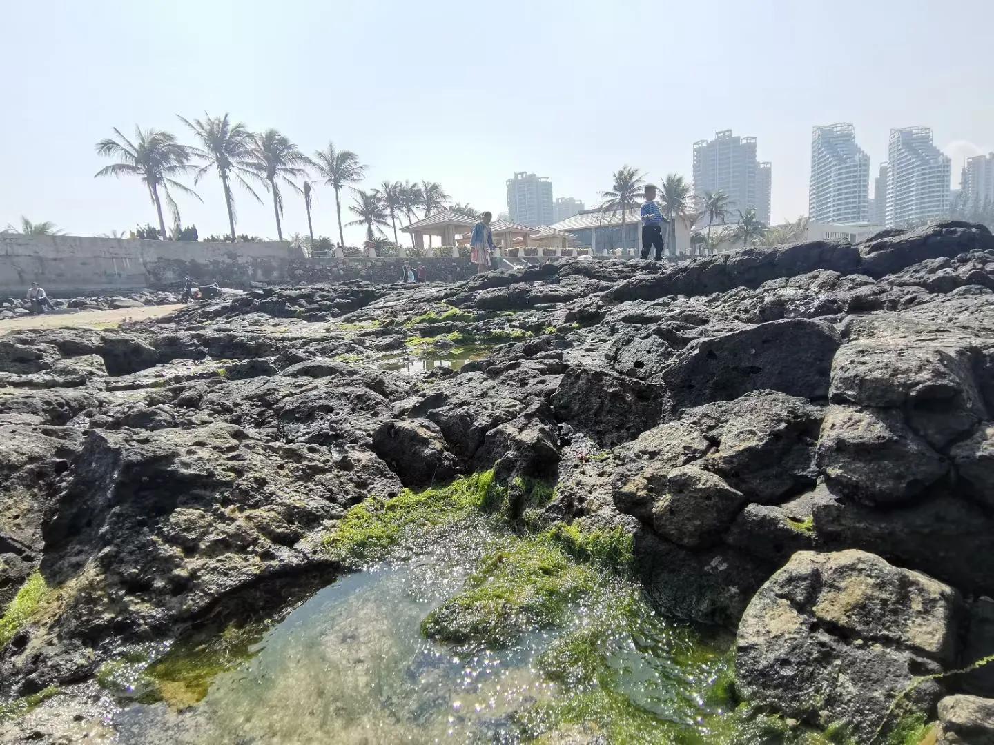 解放海南島電視劇全集下載，探尋30集完整劇情，解放海南島電視劇全集下載，探尋完整的30集劇情探索