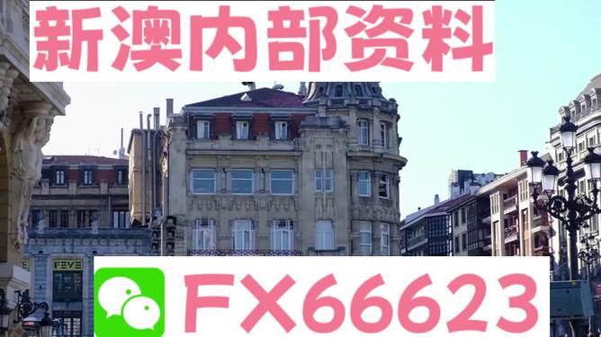 澳門六資料大全，深度探索與揭秘，澳門六資料大全，深度探索與揭秘之旅