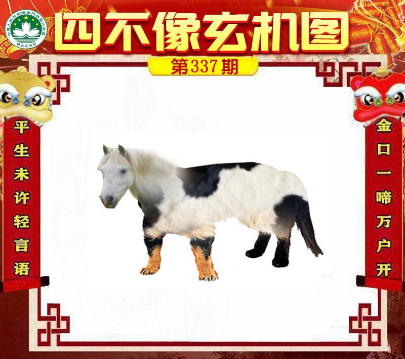 王中王四不像肖一肖中特，探索神秘現(xiàn)象背后的真相，神秘現(xiàn)象背后的真相探索，王中王四不像肖一肖中特揭秘