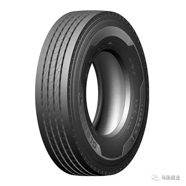 王中王295期指一生肖，揭秘生肖運勢與預測背后的秘密，揭秘生肖運勢預測，王中王295期生肖運勢背后的秘密探索