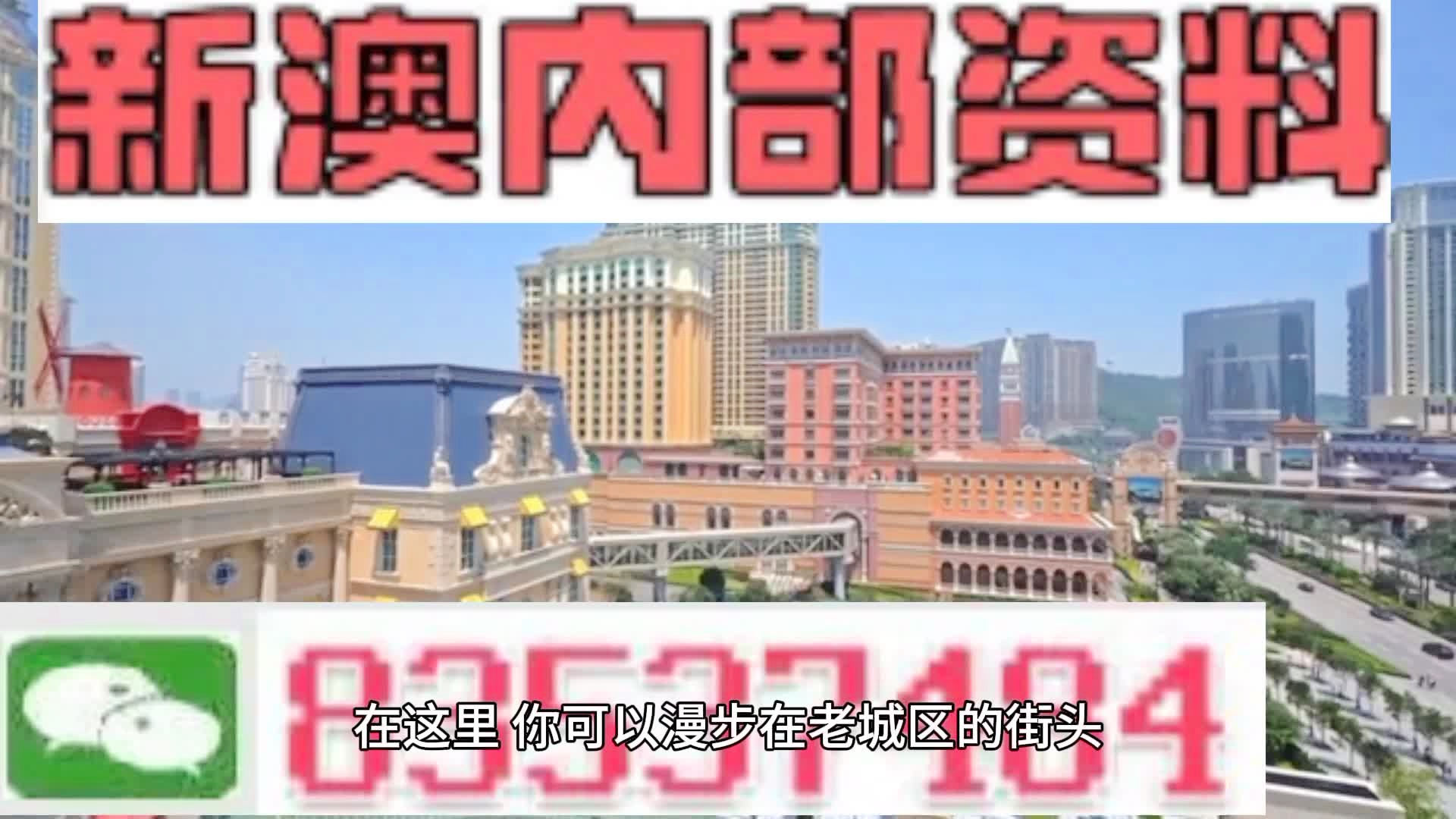 新澳門期期準(zhǔn)精準(zhǔn)，探索澳門的未來與SEO策略，澳門未來展望與SEO策略探索，精準(zhǔn)瞄準(zhǔn)新機(jī)遇