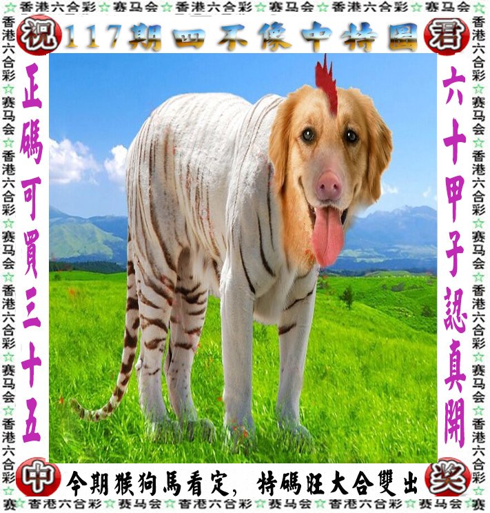 王中王四不像一肖論壇，探索神秘論壇的世界，王中王四不像一肖論壇，神秘論壇世界的探索之旅