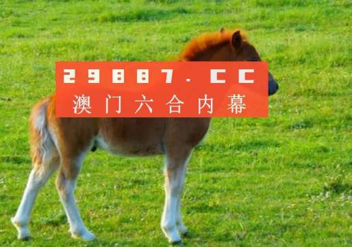 澳門答家婆一肖一馬一中一特，揭秘背后的秘密與獨特文化魅力，澳門文化魅力深度解析，答家婆一肖一馬一中一特的獨特傳統(tǒng)與秘密