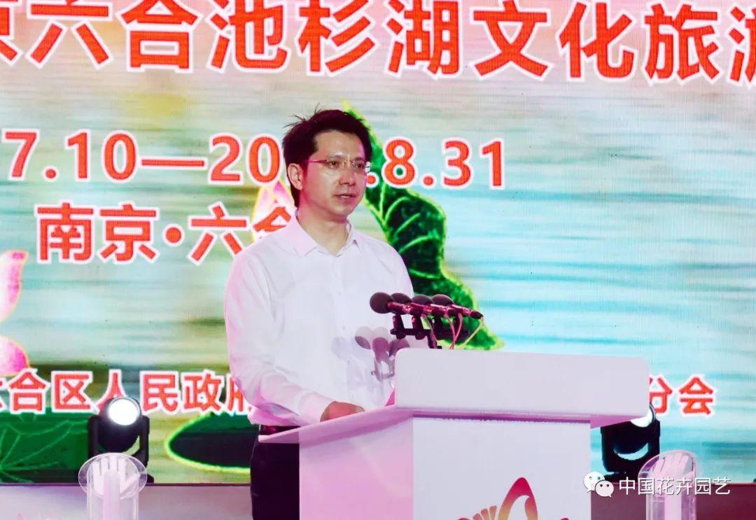 澳門六和開獎結(jié)果第54期，深度分析與預(yù)測，澳門六和開獎結(jié)果第54期深度分析與預(yù)測報告