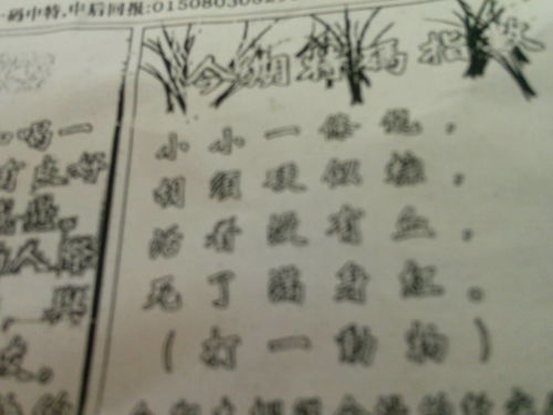 劉伯溫09期平碼一肖——揭秘預(yù)測之謎，劉伯溫09期平碼一肖預(yù)測揭秘，揭秘預(yù)測之謎