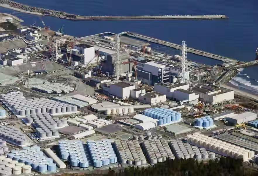 澳門今晚必開一肖81期，探索生肖運勢與預測的秘密，澳門生肖運勢揭秘，探索生肖預測與81期必開一肖的神秘面紗