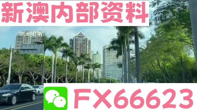 新澳資料哪里看，全面指南與資源匯總，新澳資料全面指南與資源匯總查看攻略