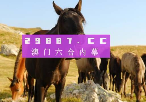 澳門49圖庫下載安裝綠色，全面指南與優(yōu)勢解析，澳門49圖庫下載安裝綠色版，全面指南與優(yōu)勢深度解析